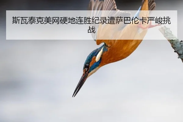 斯瓦泰克美网硬地连胜纪录遭萨巴伦卡严峻挑战