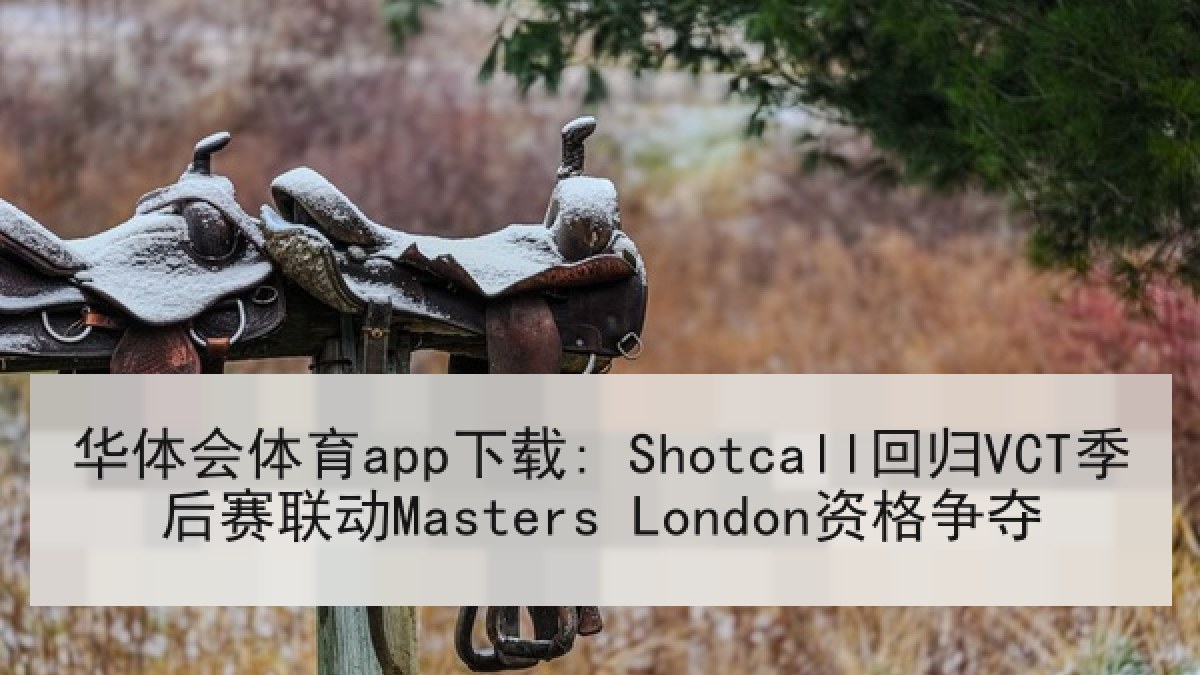 华体会体育app下载: Shotcall回归VCT季后赛联动Masters London资格争夺